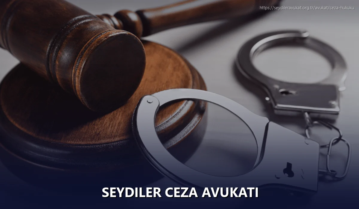 Seydiler Ceza Avukatı